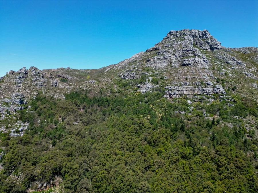 Commercial Property for Sale in Hout Bay Western Cape